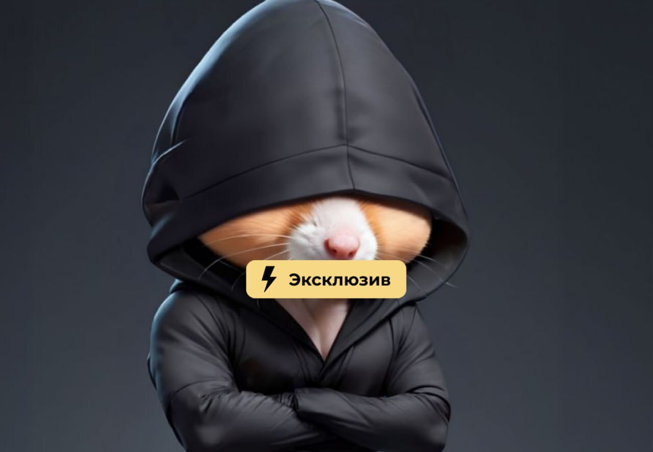 Сбавьте TON! Что будет с криптовалютой и Hamster Kombat из-за ареста Дурова